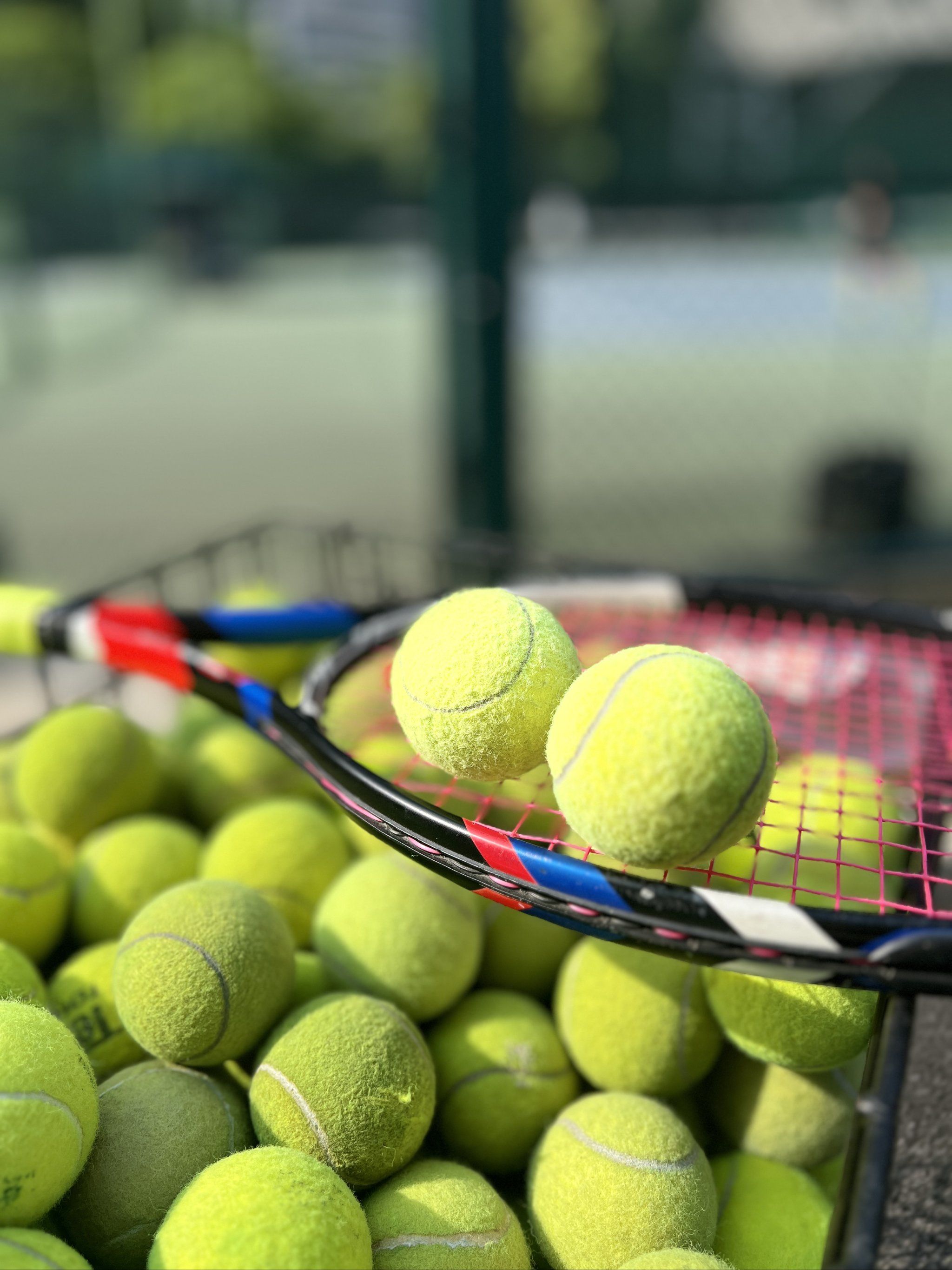 果断的选择 果断的选择