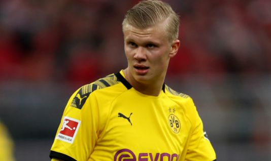 内容种草 内容种草