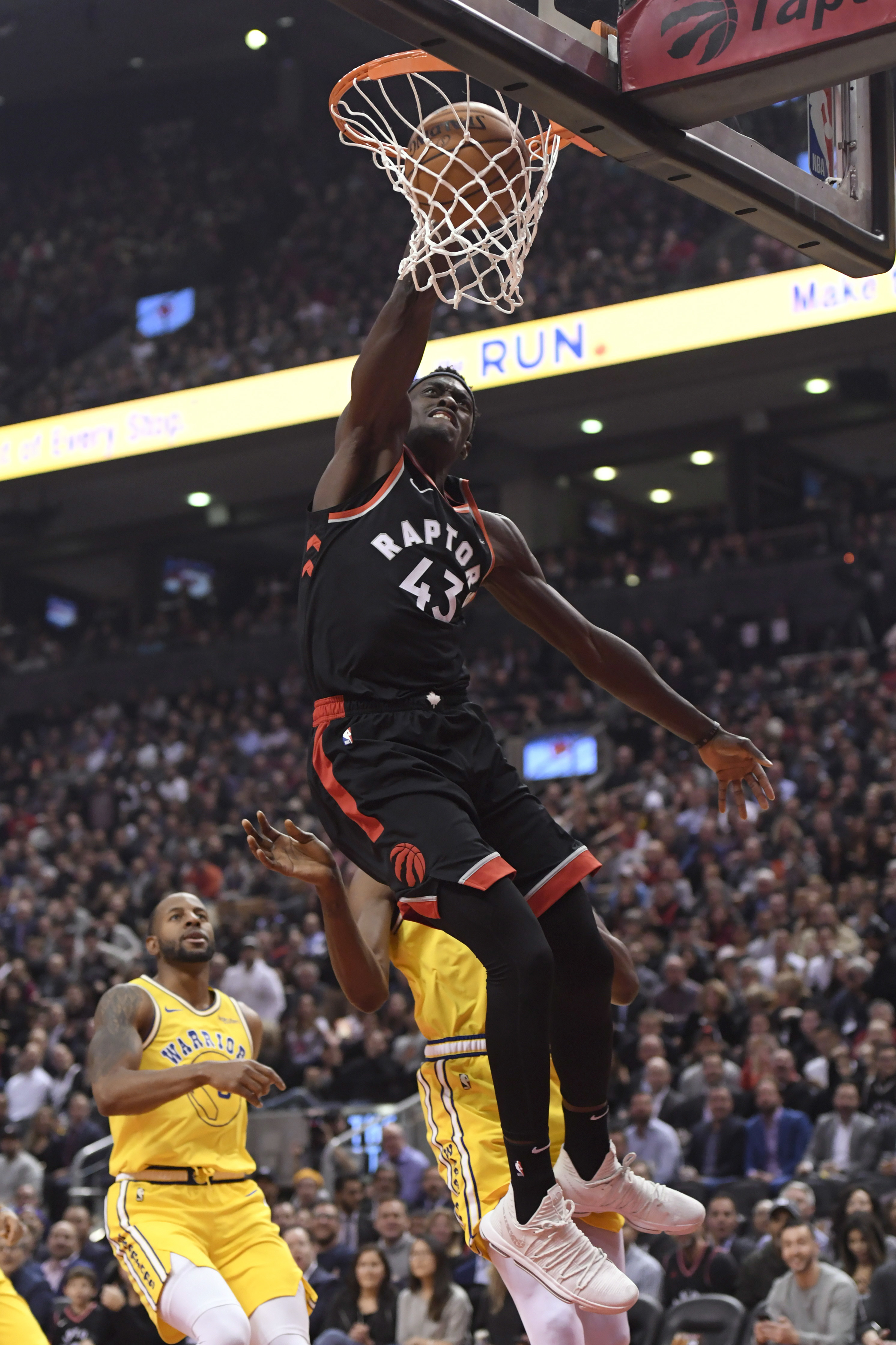 是近两季王 是近两季王